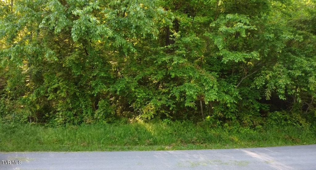 Photo of 305 Chandler Circle, Greeneville, TN 37743 (MLS # 9993475)