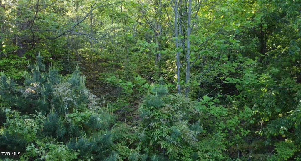 Photo of 305 Chandler Circle, Greeneville, TN 37743 (MLS # 9993475)