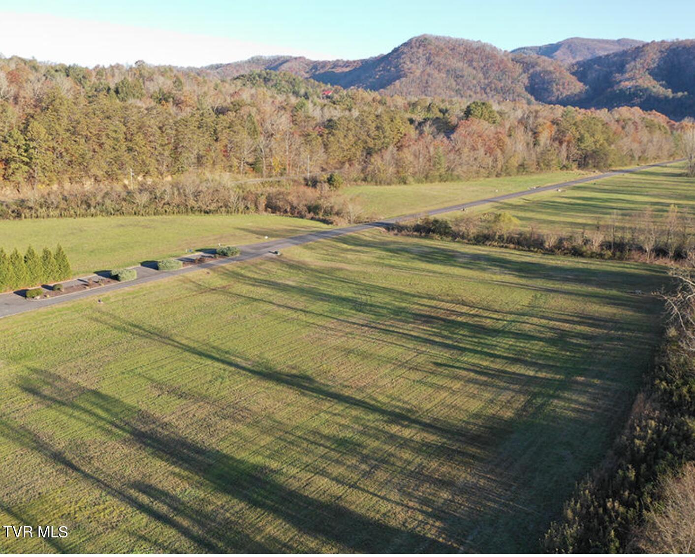 Lot 11 River Rapids Way, Del Rio, Tennessee image 1