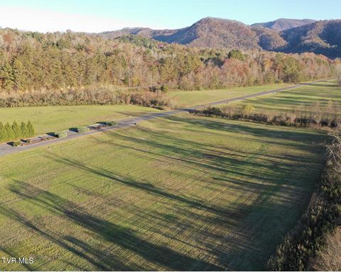 Vacant Land For Sale - LOT 11 River Rapids Way<br/> Cocke County, Del Rio, TN 37727