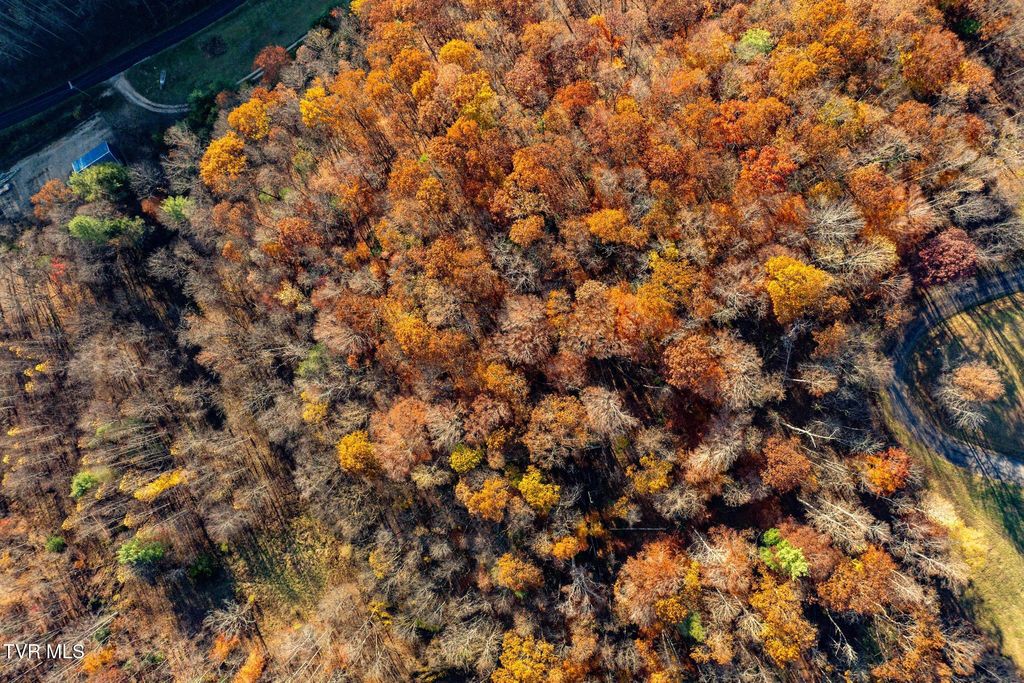 Photo of 51 Redbud Circle, Butler, TN 37640 (MLS # 9988385)