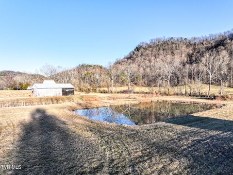 Vacant Land For Sale - TRACT 0 Gap Creek Road<br/> Bulls Gap, TN 37711