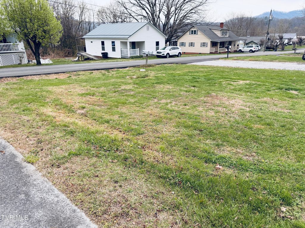 Photo of 128 Parsley Street, Erwin, TN 37650 (MLS # 9992786)