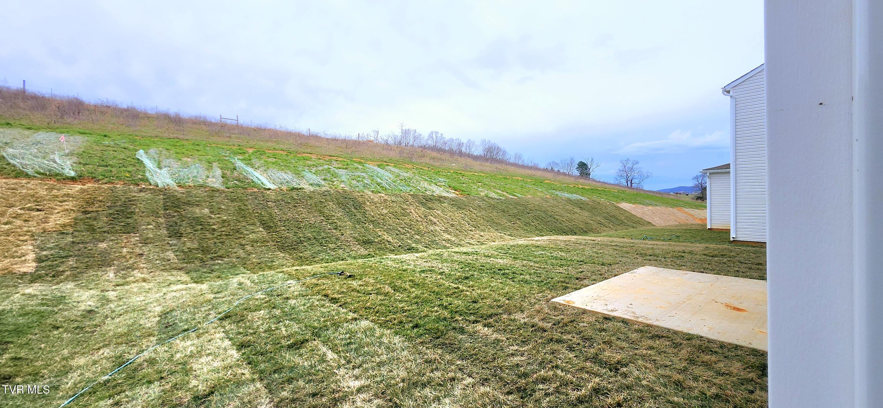 1625 Fox Meadows Circle, Bluff City, Tennessee image 3
