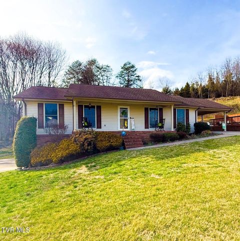 1587 Primrose Court Mount Carmel TN 37645