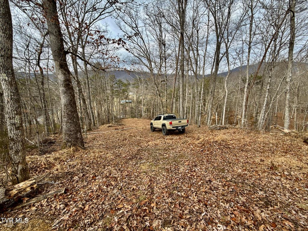 Photo of 25 Tbd Horton Highway, Chuckey, TN 37641 (MLS # 9990782)