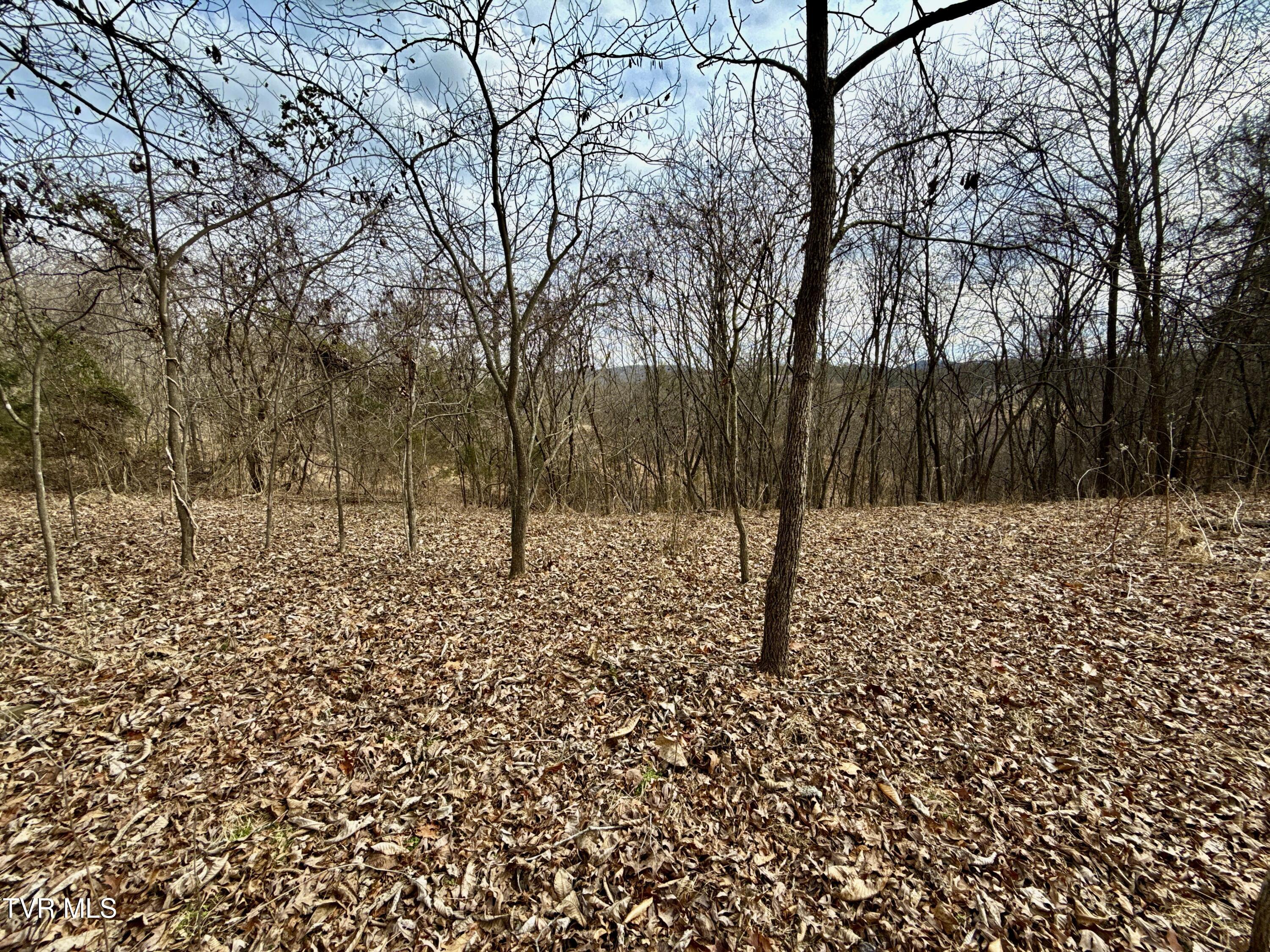 25/Ac Tbd Horton Highway