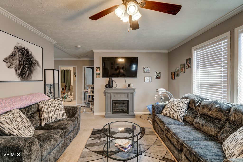 Photo of 918 Hopson Street, Johnson City, TN 37601 (MLS # 9991468)