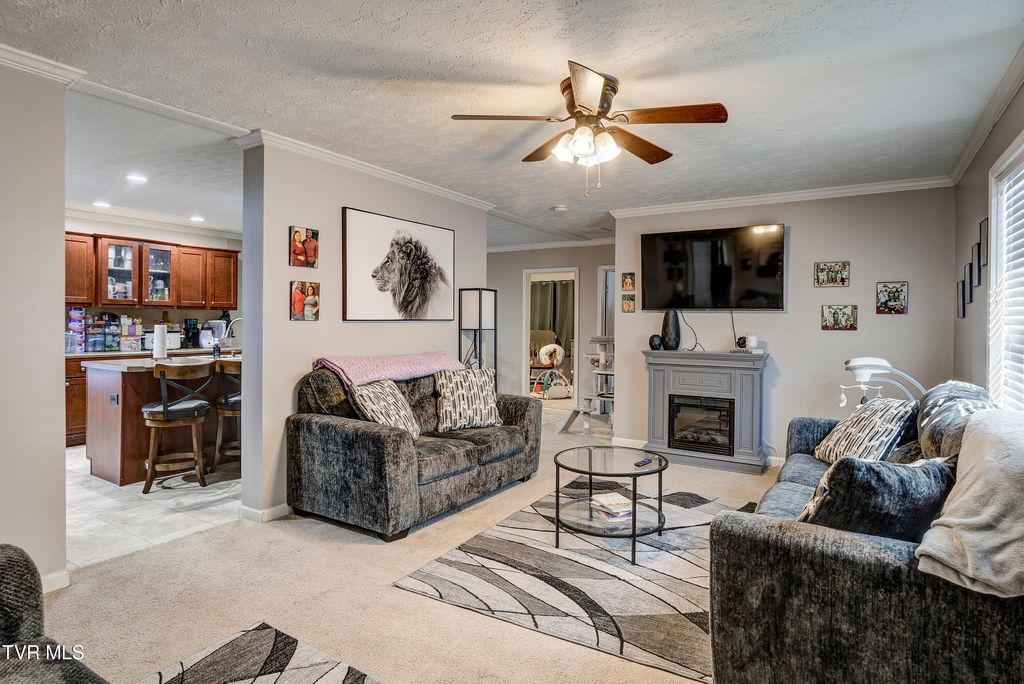 Photo of 918 Hopson Street, Johnson City, TN 37601 (MLS # 9991468)