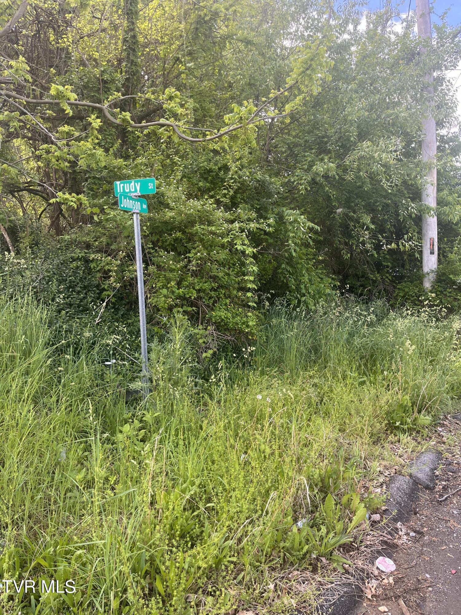 Johnson Avenue, Elizabethton, Tennessee image 20