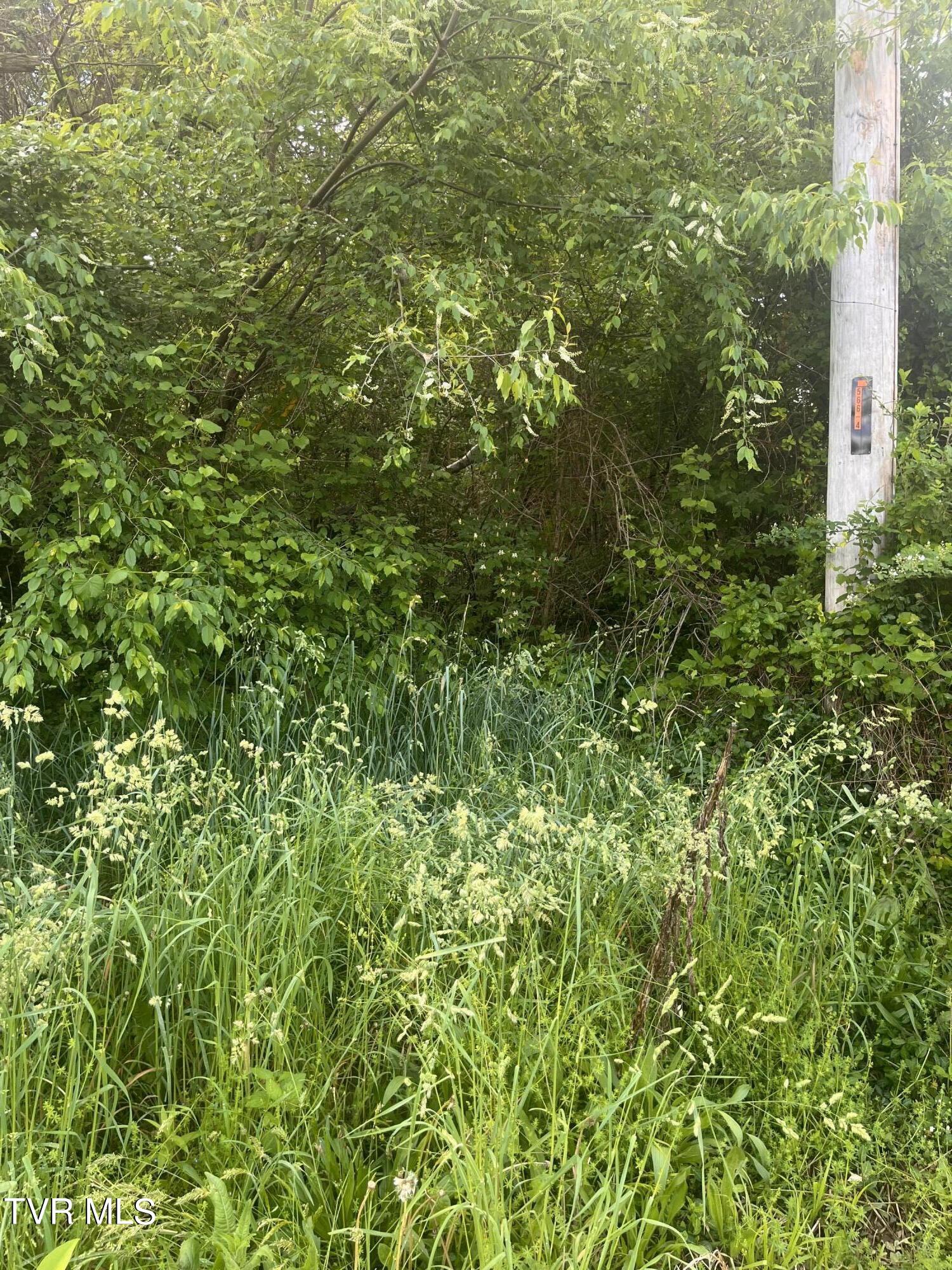 Johnson Avenue, Elizabethton, Tennessee image 19