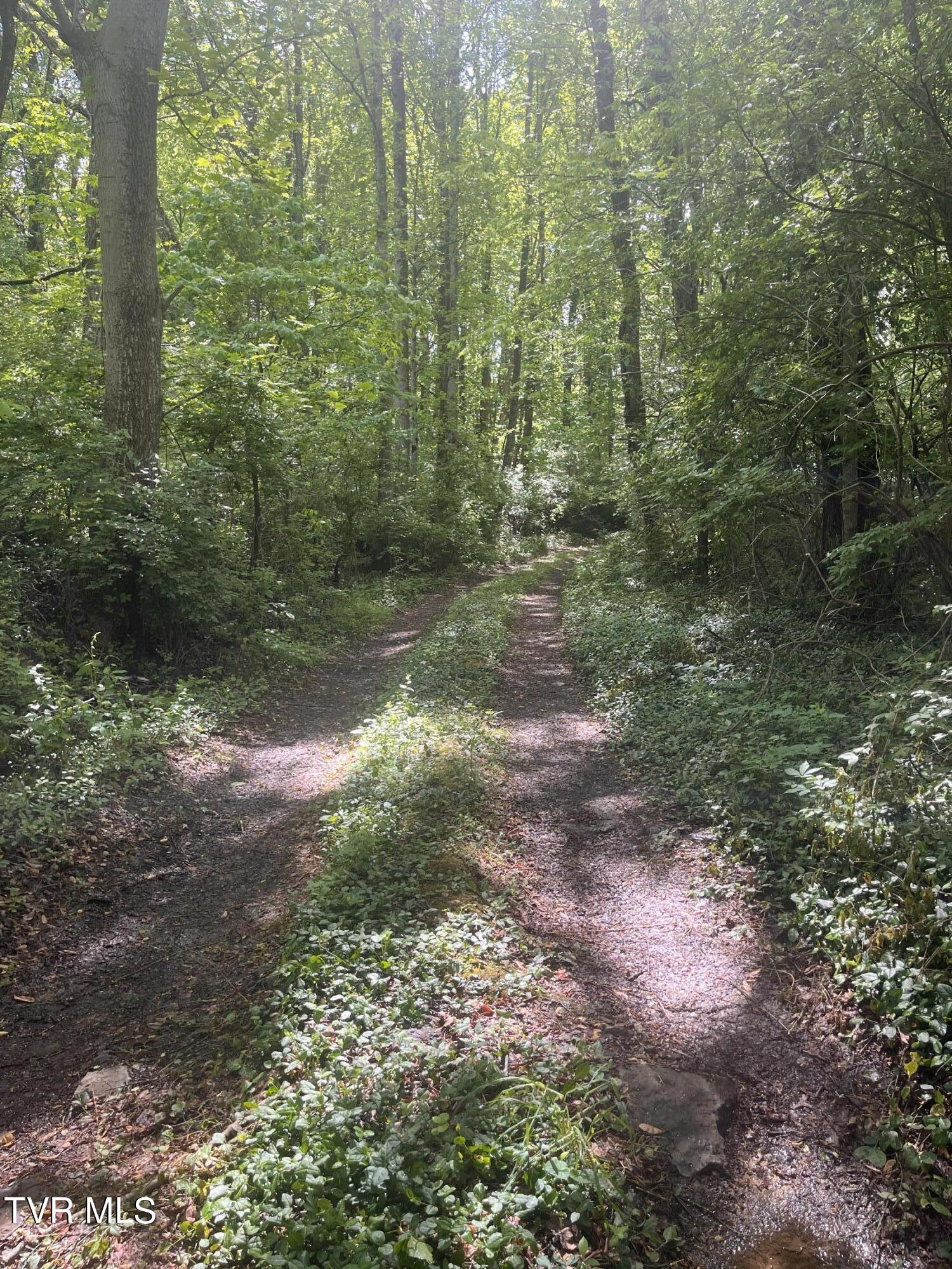 Johnson Avenue, Elizabethton, Tennessee image 1