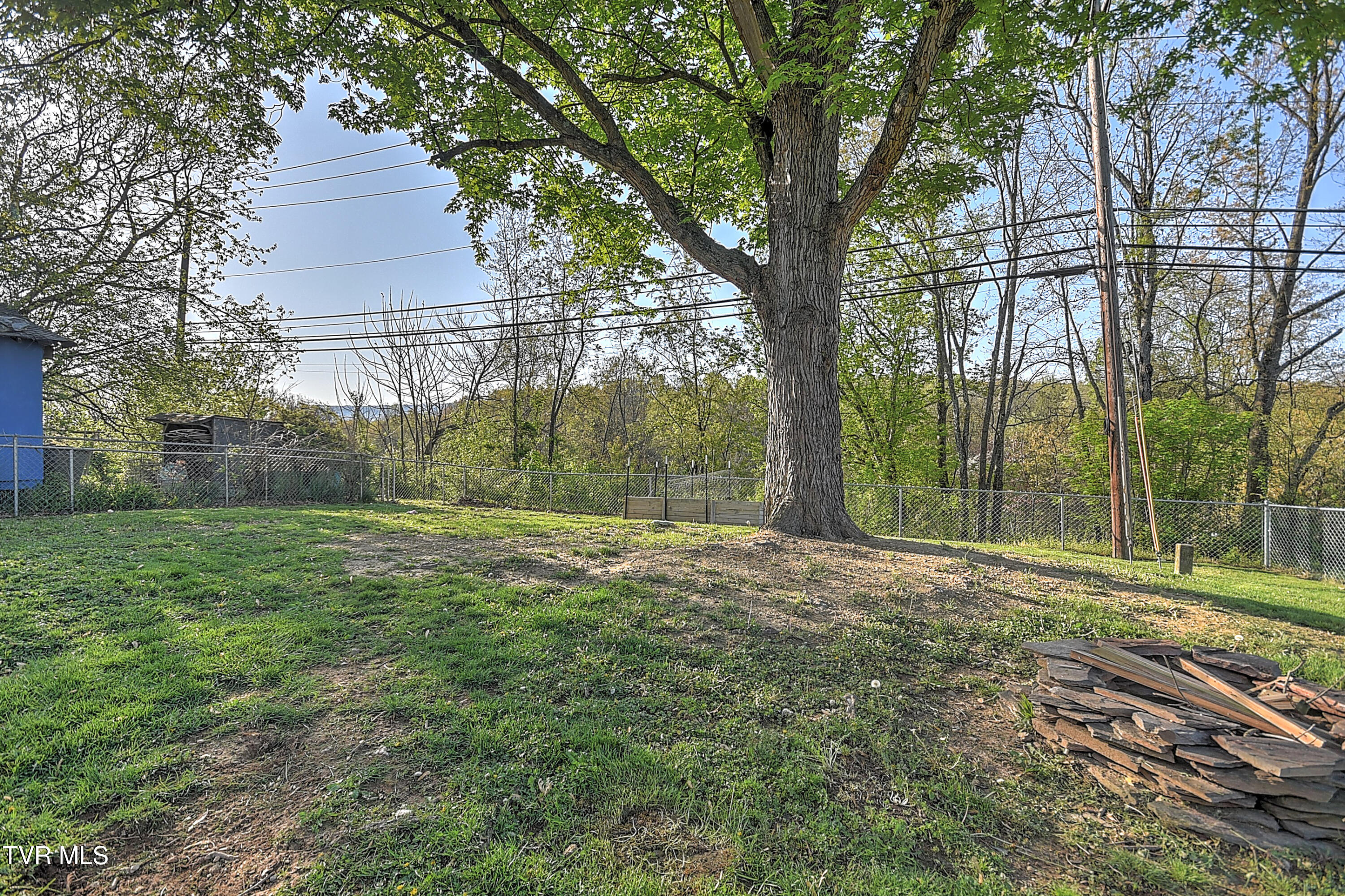 318 Bay Street, Mount Carmel, Tennessee image 39