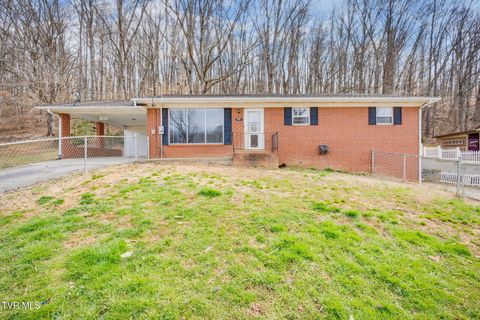 150 Crest Hills Lane, Chuckey, TN 37641 - MLS#: 9977110