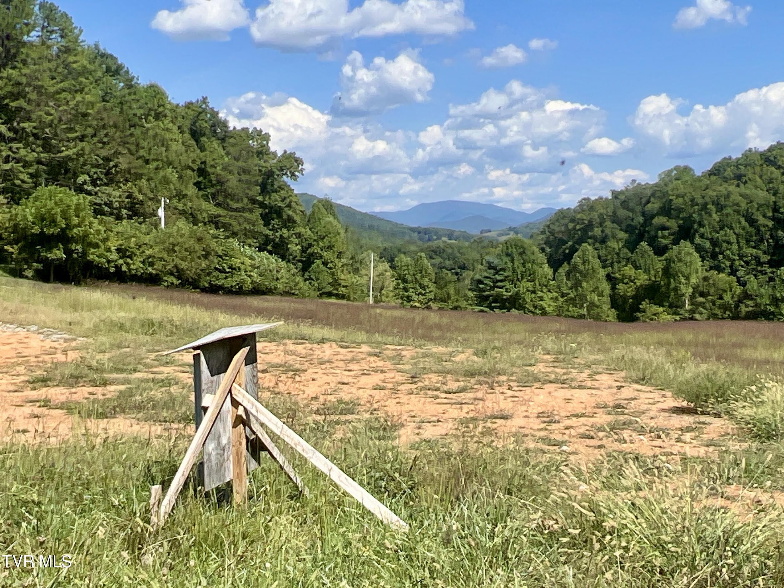 974 Highway 107, Del Rio, Tennessee image 10