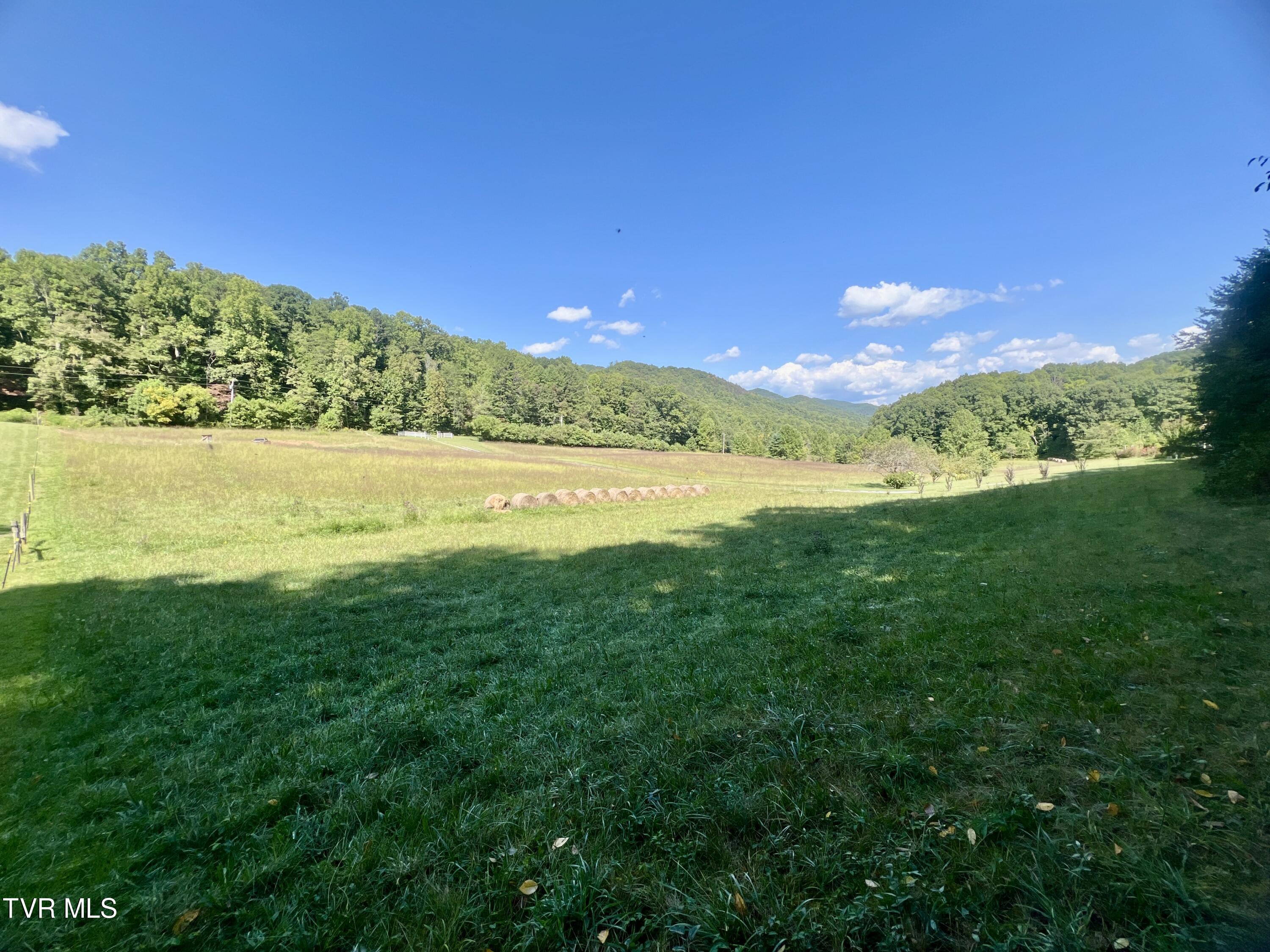 974 Highway 107, Del Rio, Tennessee image 1