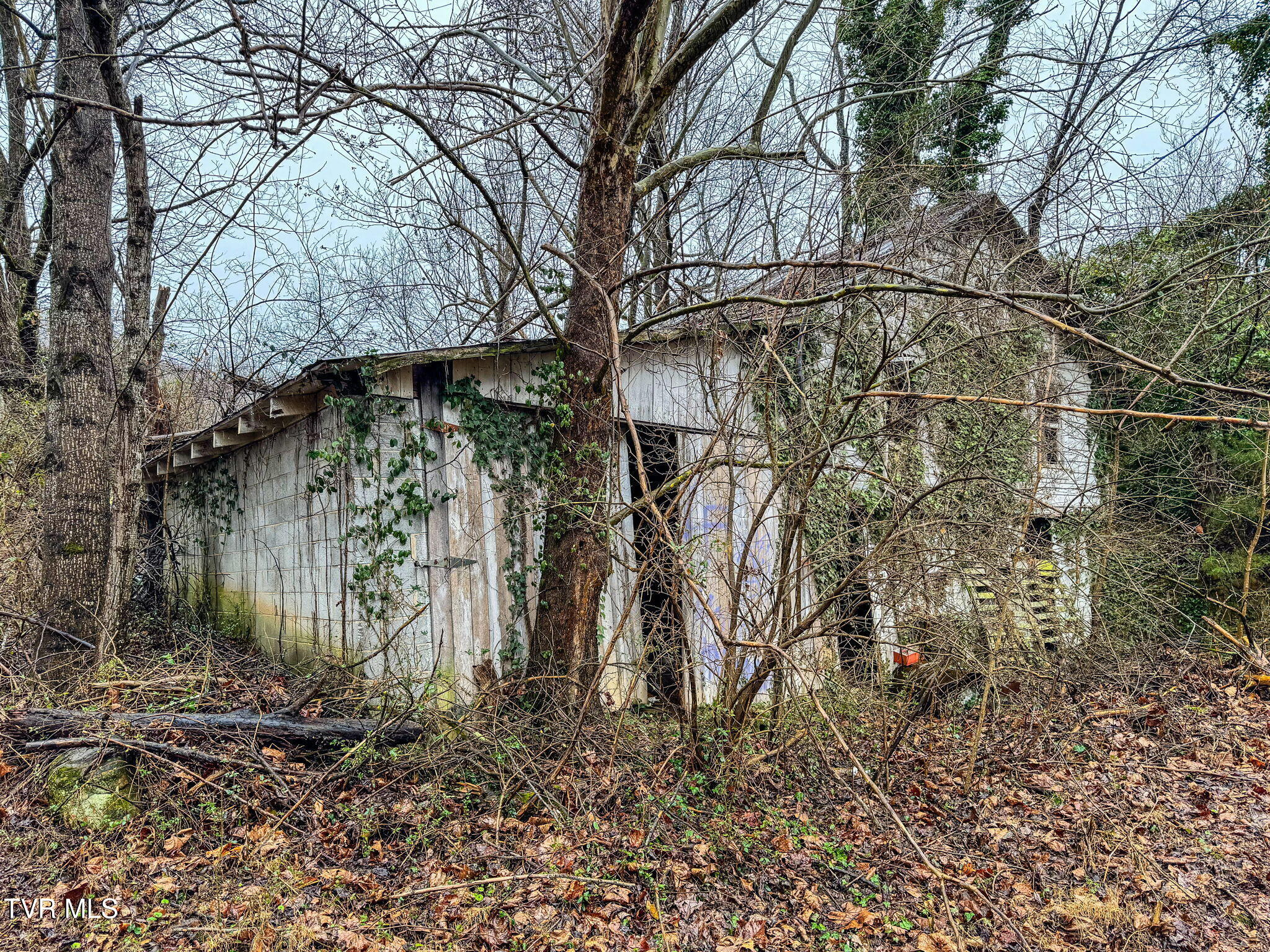 Tbd Hipps Road, Elizabethton, Tennessee image 5