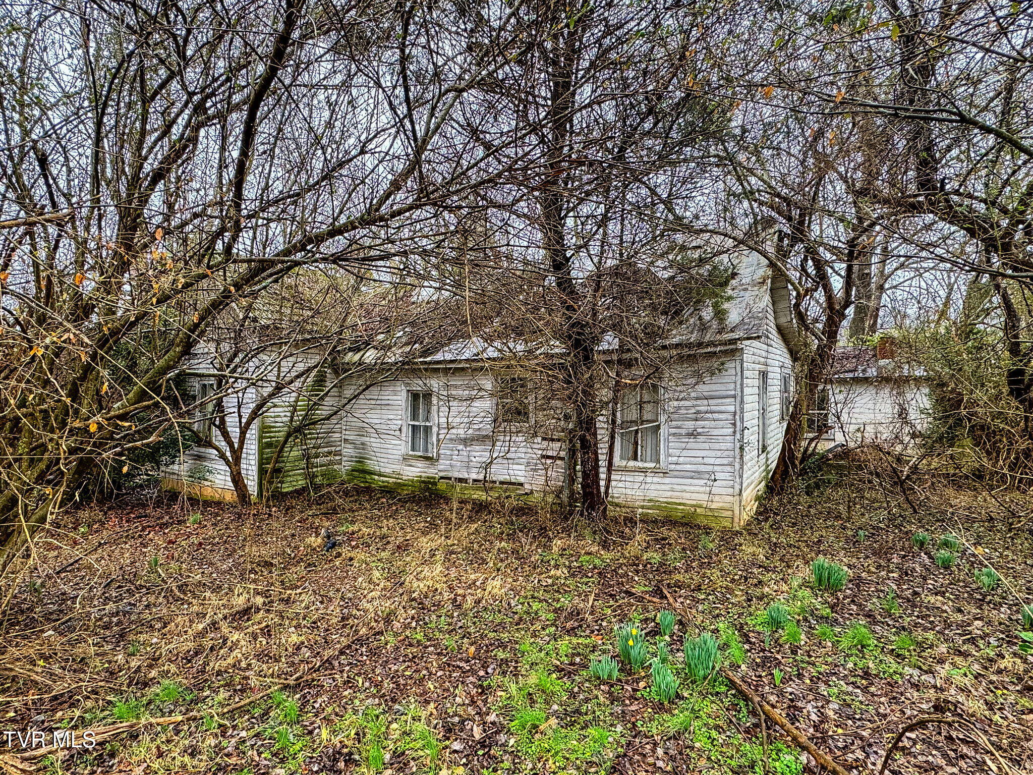 Tbd Hipps Road, Elizabethton, Tennessee image 8