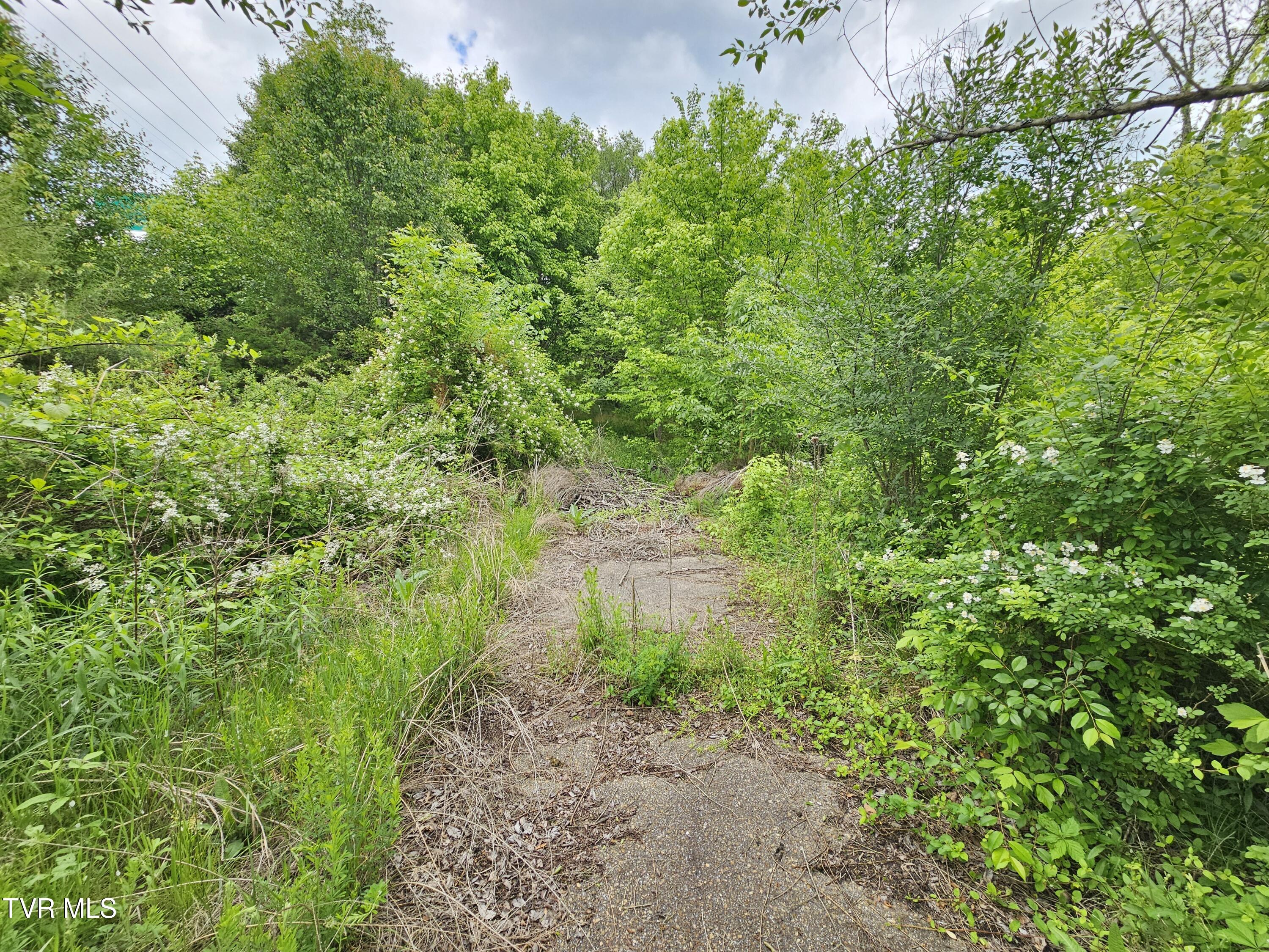 Tbd Fordtown Road, Kingsport, Tennessee image 4