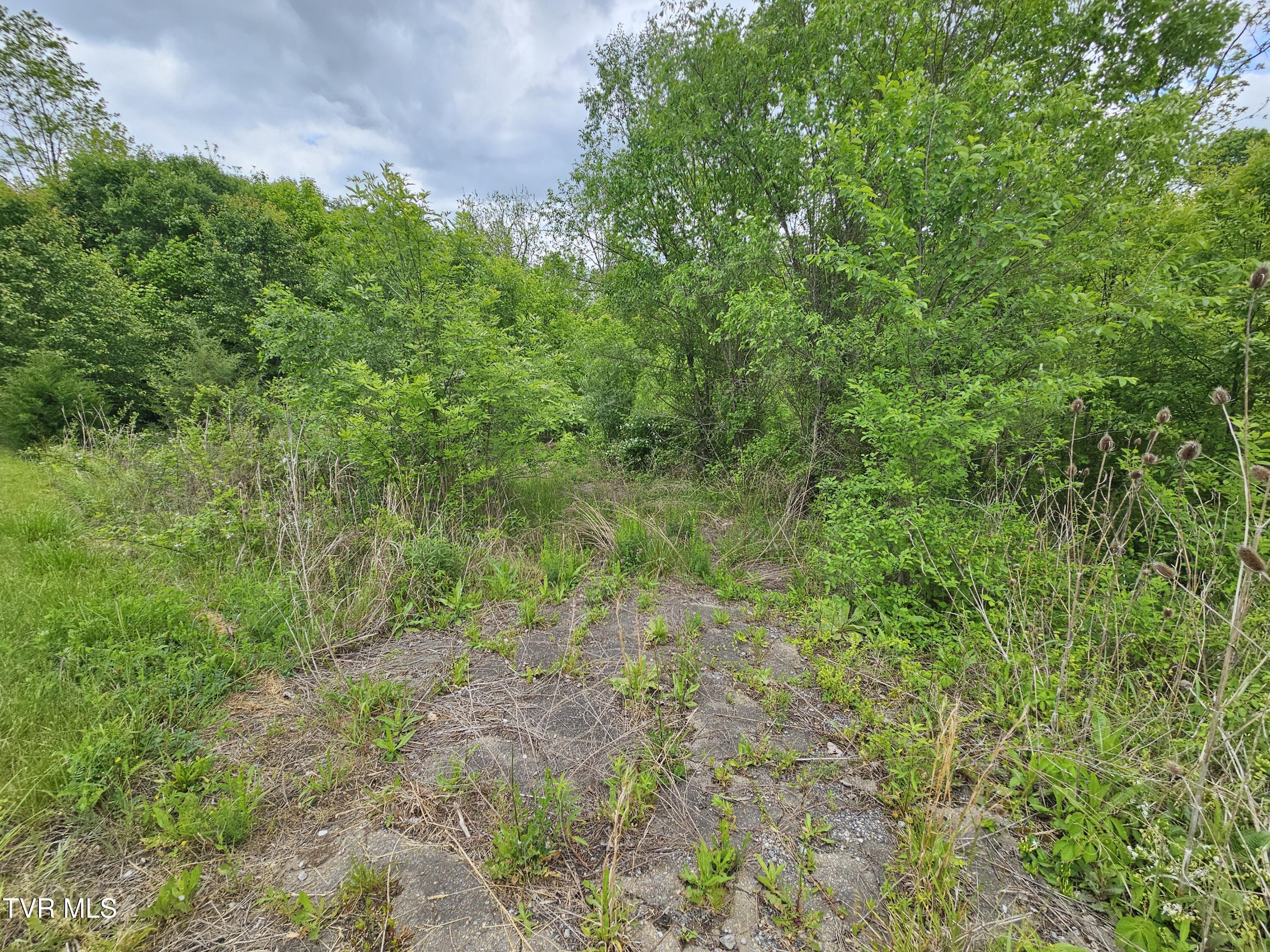 Tbd Fordtown Road, Kingsport, Tennessee image 3
