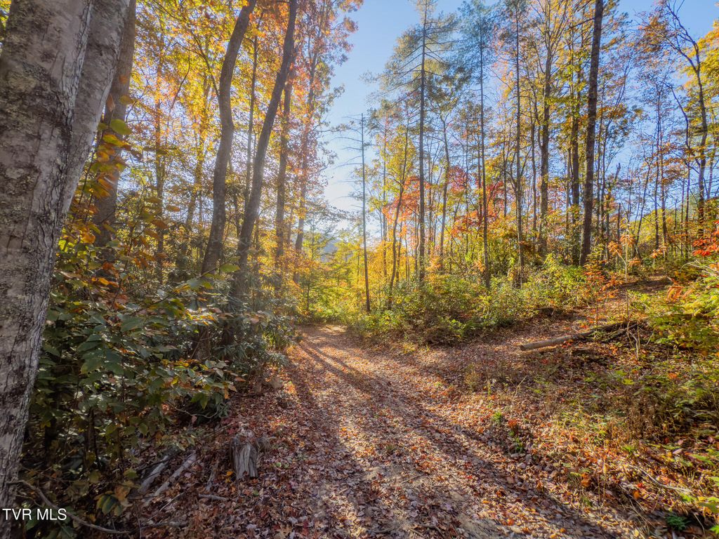 Photo of 299 Morton Road, Hampton, TN 37658 (MLS # 9987434)