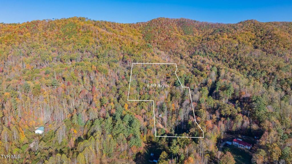 Photo of 299 Morton Road, Hampton, TN 37658 (MLS # 9987434)