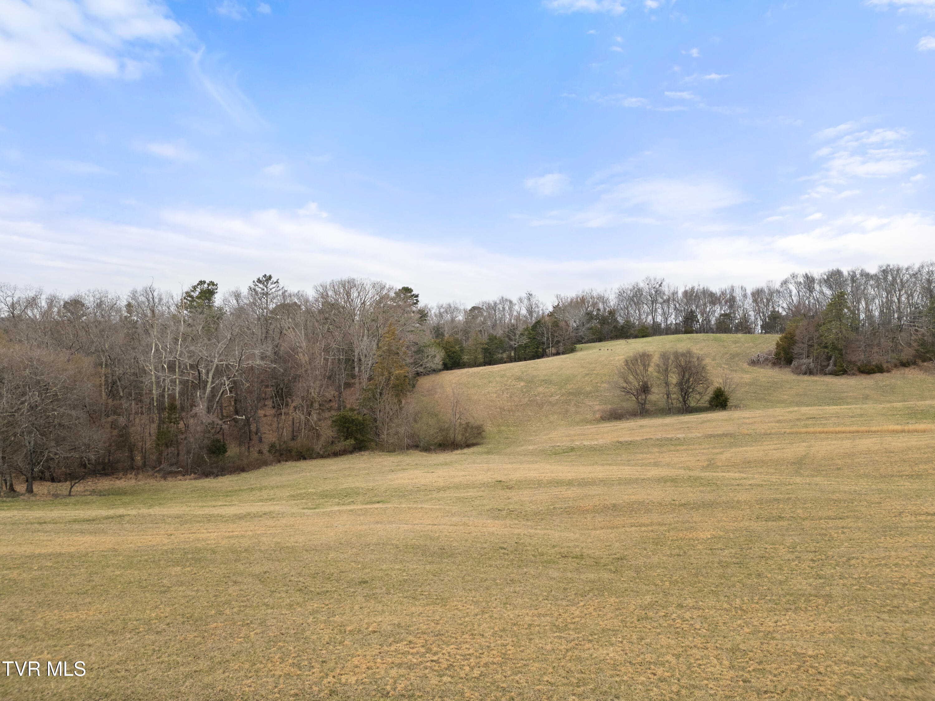 Tbd Bright Hope Road, Greeneville, Tennessee image 12