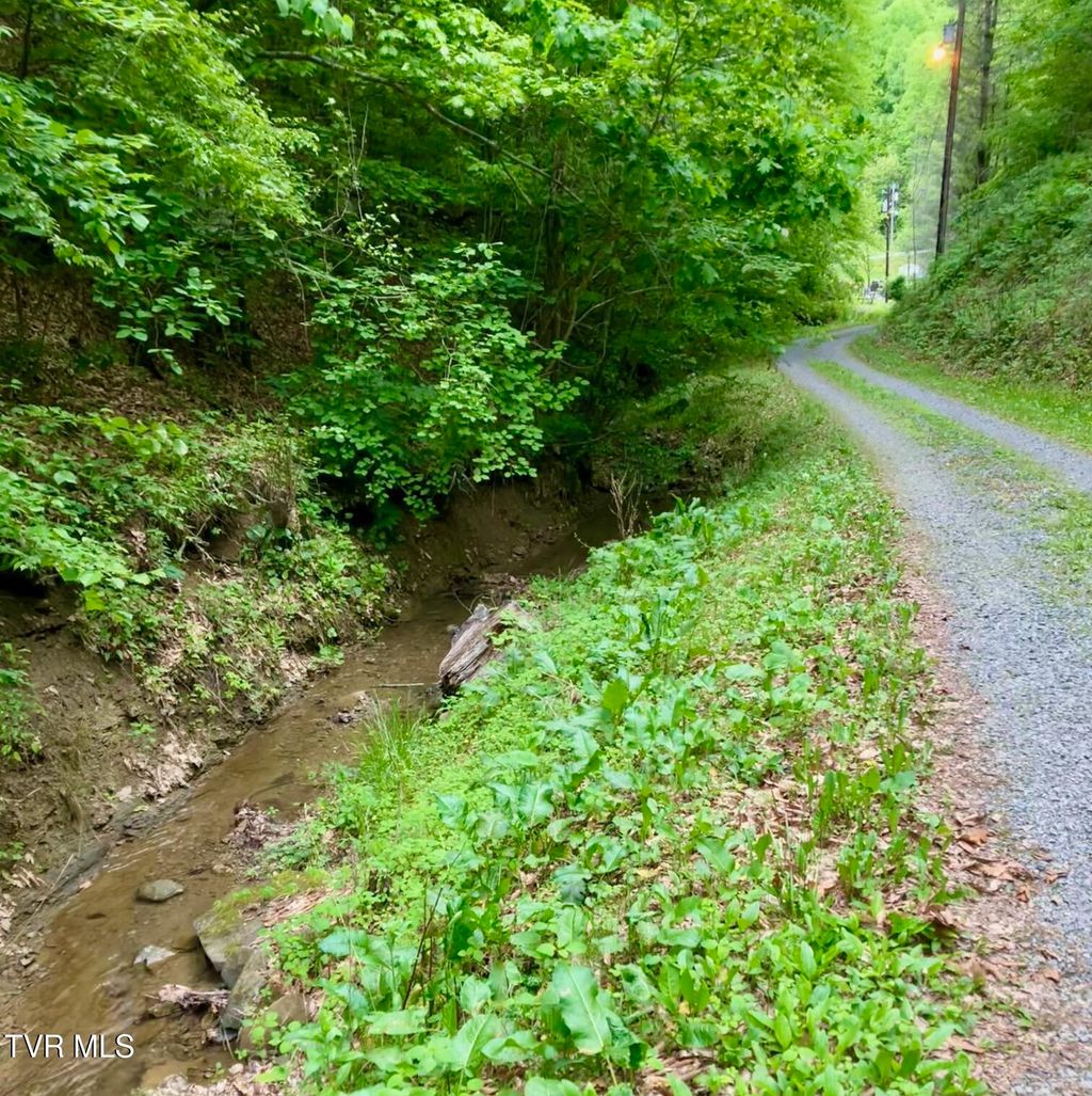 Photo of 4127 Middlebrook Way, Saint Paul, VA 24283 (MLS # 9989089)