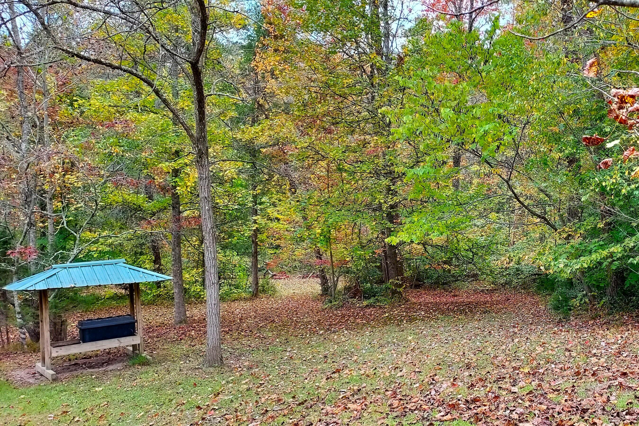 724 Hawk Ridge Road, Sneedville, Tennessee image 4