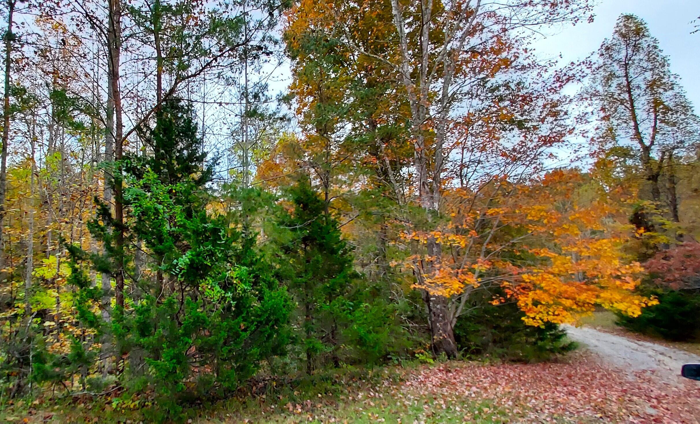 724 Hawk Ridge Road, Sneedville, Tennessee image 7