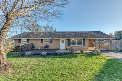 315 Piercy Street Blountville TN 37617