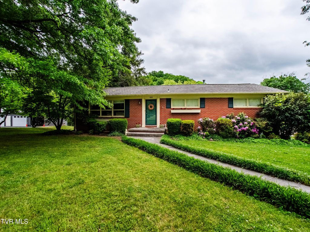Photo of 125 Cresswood Drive, Rogersville, TN 37857 (MLS # 9994611)