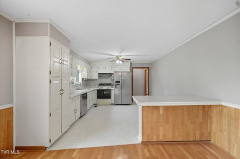 Tiny photo for 147 Seven Springs Drive, Castlewood, VA 24224 (MLS # 9986455)