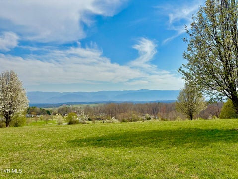 Vacant Land For Sale - 2570 Shiloh Road #8<br/> Greene County, Greeneville, TN 37745