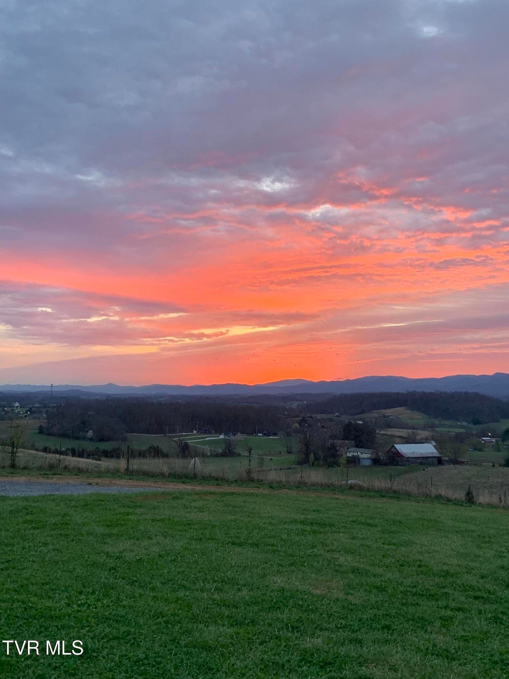 Photo of 2570 Shiloh Road #8, Greeneville, TN 37745 (MLS # 10000772)