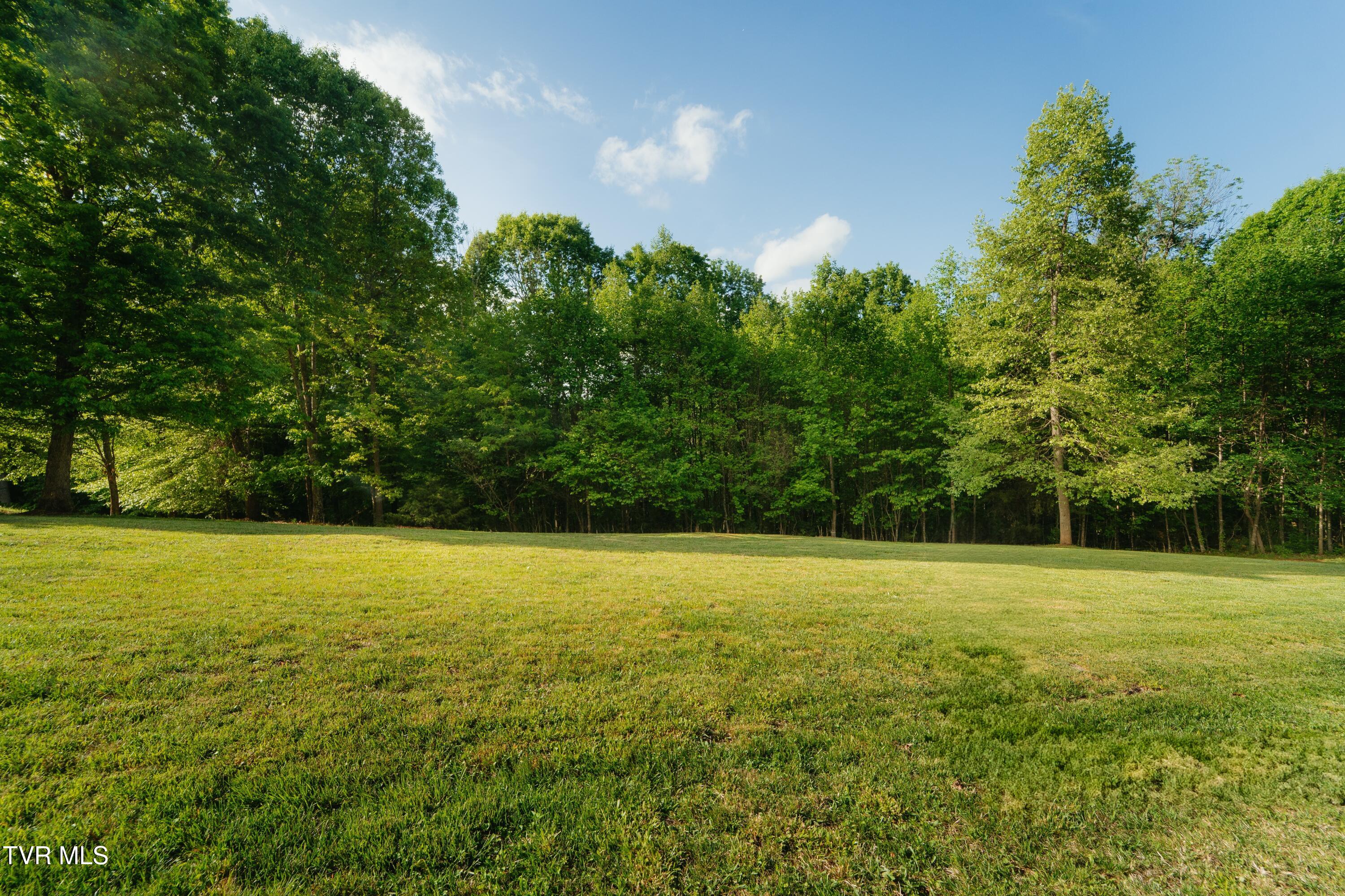 147AllisonTimbersRd-09207