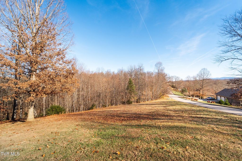Photo of Tbd Allison Timbers Road, Piney Flats, TN 37686 (MLS # 9989751)