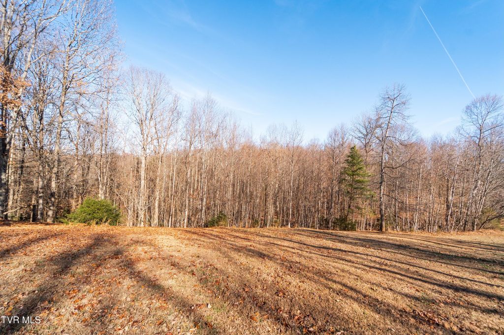 Photo of Tbd Allison Timbers Road, Piney Flats, TN 37686 (MLS # 9989751)