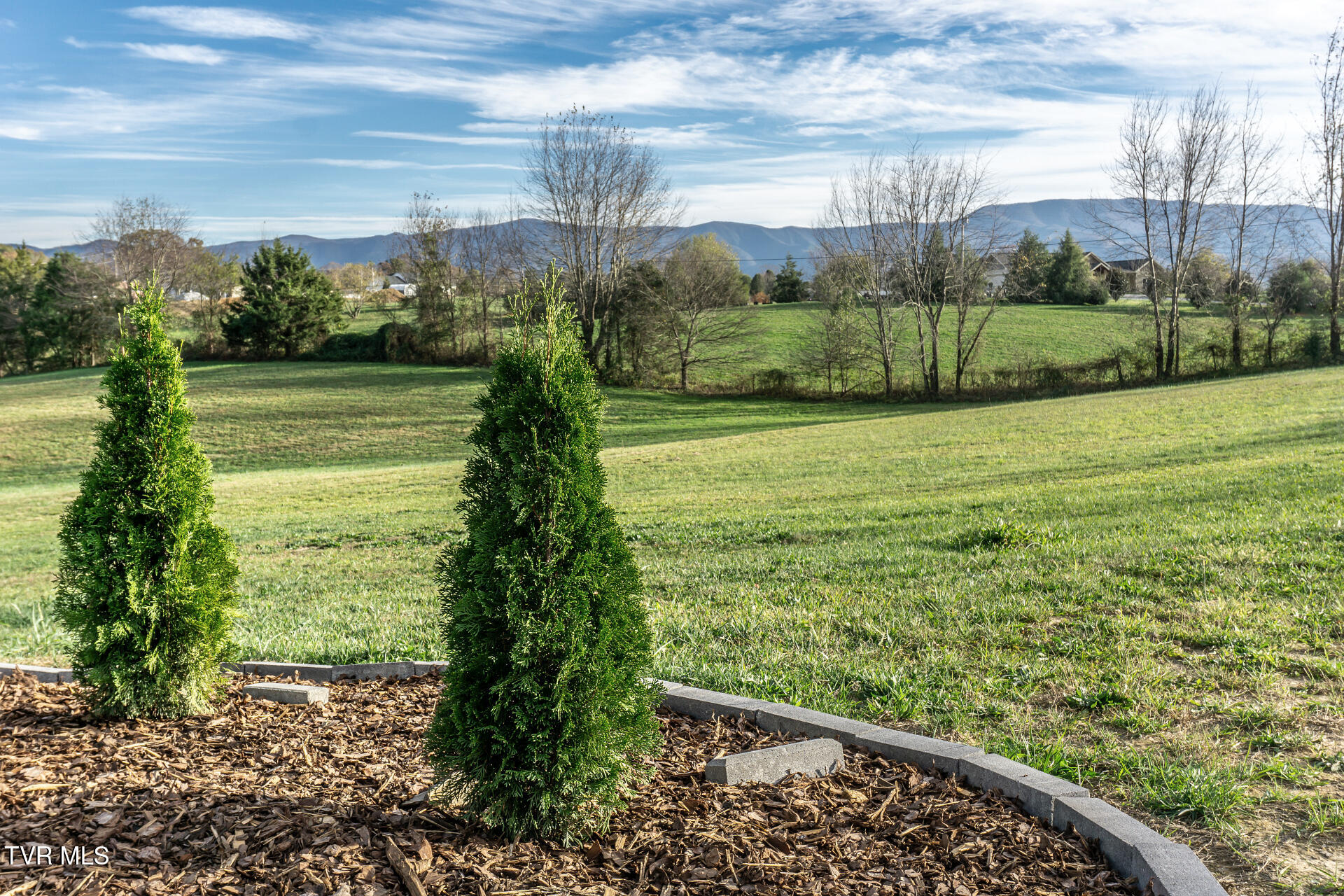 253 Stockton Road, Chuckey, Tennessee image 44