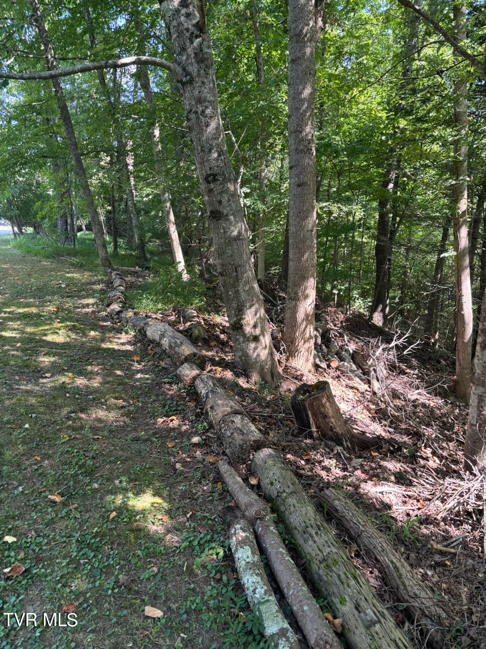 Tr 15 Pine Forest Lane, Unicoi, Tennessee image 2