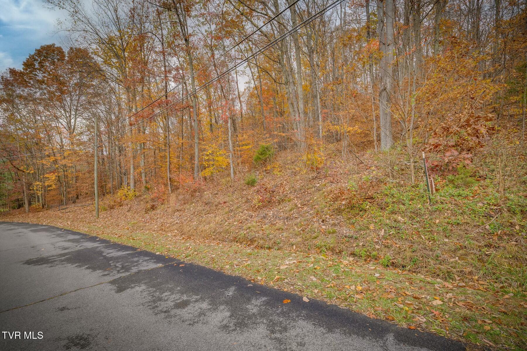 Tbd Oak Forest (lot 25) Place, Kingsport, Tennessee image 2