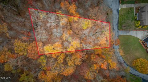 Vacant Land For Sale - TBD Oak Forest (lot 25) Place<br/> Kingsport, TN 37664