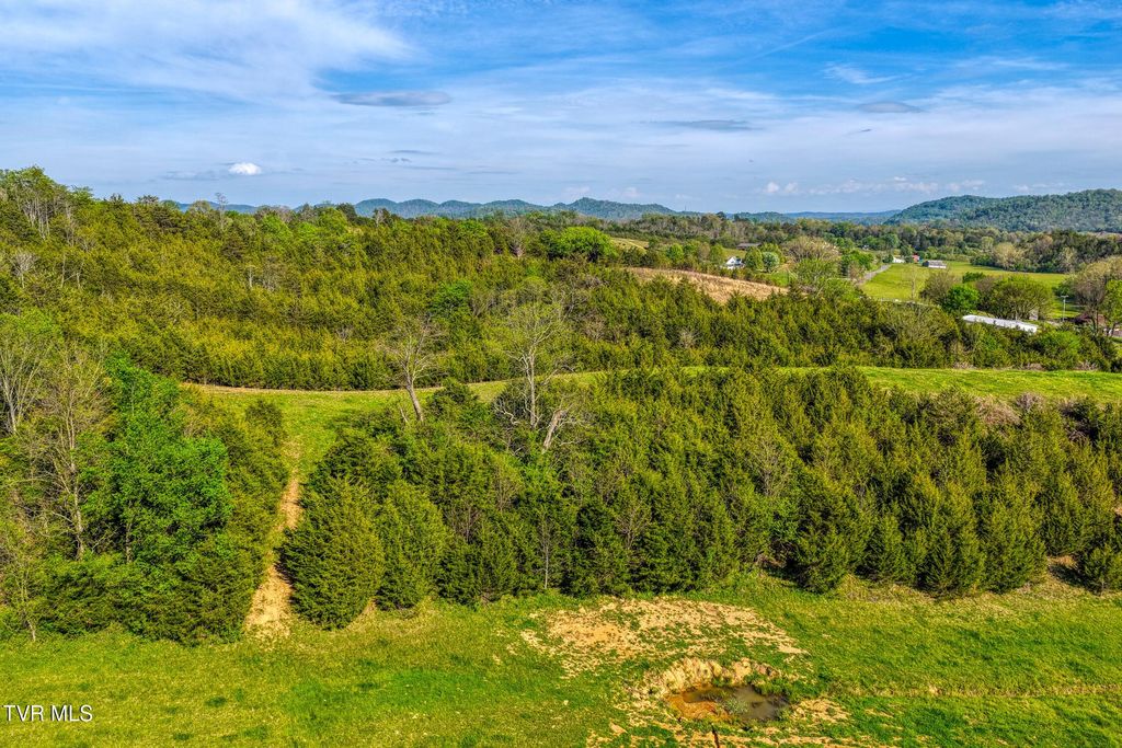 Photo of Tbd Cloud Creek Road, Rogersville, TN 37857 (MLS # 9995698)