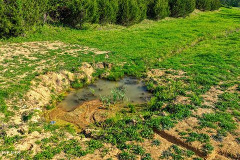 Photo of Tbd Cloud Creek Road, Rogersville, TN 37857 (MLS # 9995698)