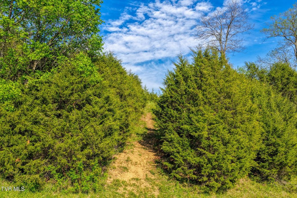 Photo of Tbd Cloud Creek Road, Rogersville, TN 37857 (MLS # 9995698)