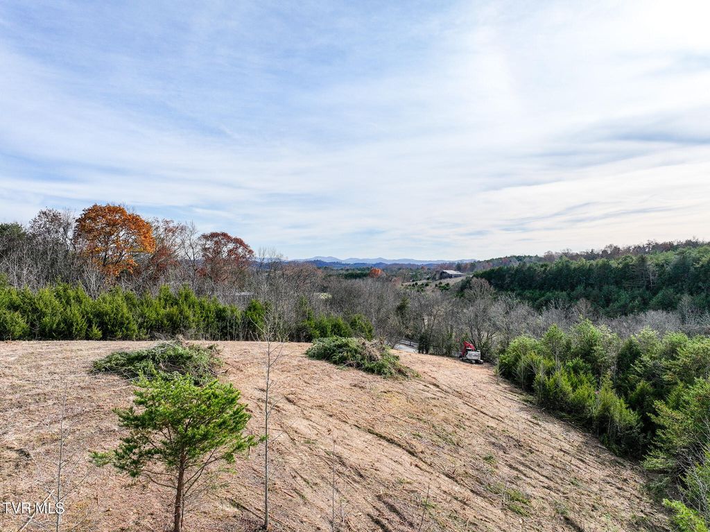 Photo of 12 Dulaney Road, Mosheim, TN 37818 (MLS # 9988684)
