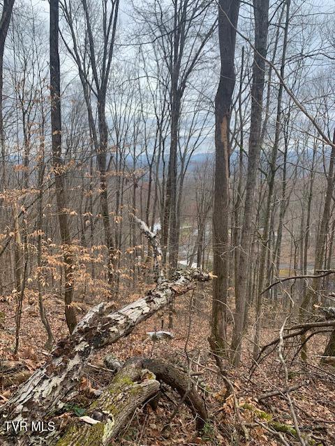 214 Rilke Ct Court, Johnson City, Tennessee image 8