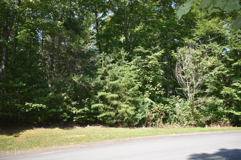 Photo of 112 River Pointe Drive, Greeneville, TN 37745 (MLS # 9994622)