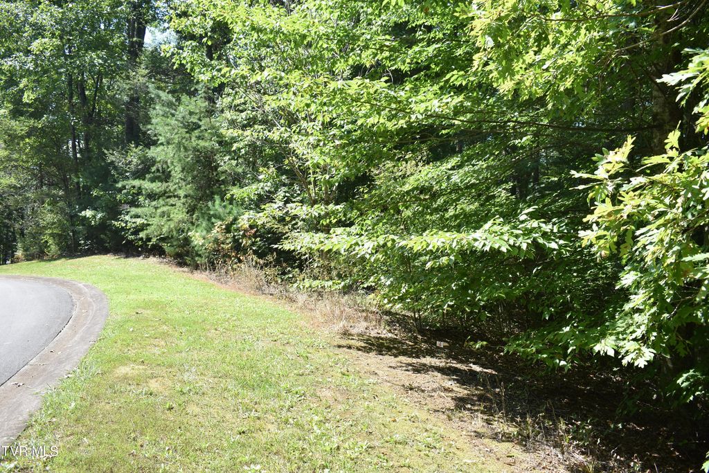 Photo of 112 River Pointe Drive, Greeneville, TN 37745 (MLS # 9994622)