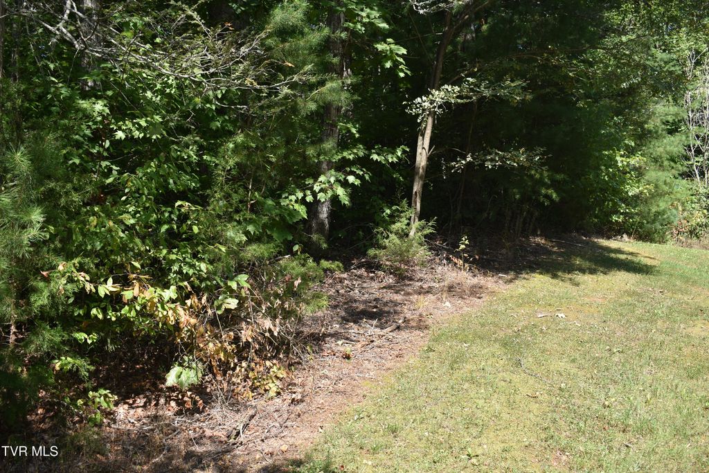 Photo of 112 River Pointe Drive, Greeneville, TN 37745 (MLS # 9994622)